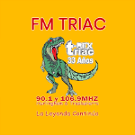 FM Triac