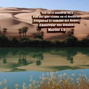 FM Voz en el Desierto