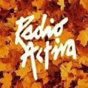 Radio Activa 91.3