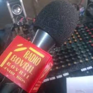 Radio Bovril