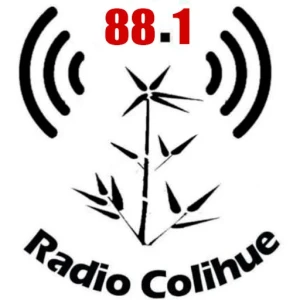 Radio Colihue 88.1