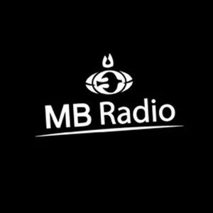 Radio Vision Manantial