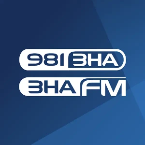 981 3HA