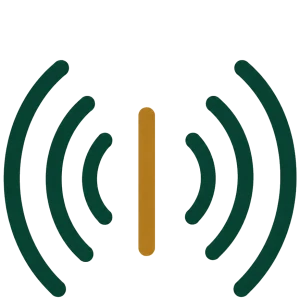 Islamic Voice Radio — Live 2