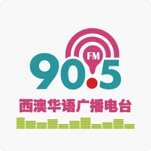 TiMi 905