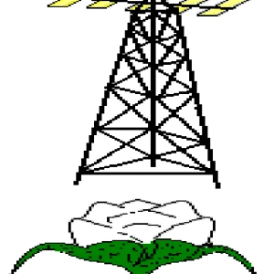 Radio Naane Ouassa FM