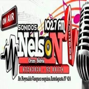 Radio Sonido Nelson 102.7 FM