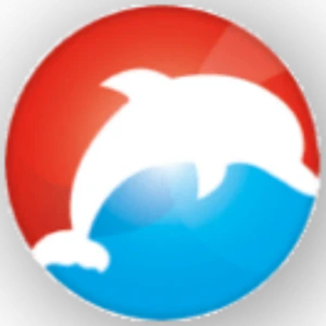 Dolfijn FM Bright Top 40