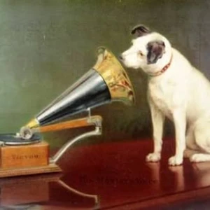 Aurora Web Radio