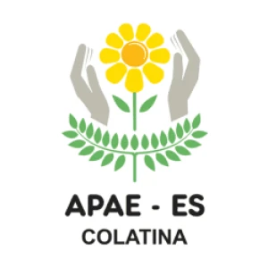 Rádio APAE FM