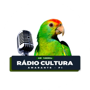 Rádio Cultura de Amarante