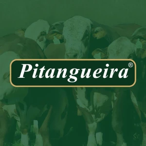 Rádio Pitangueira FM