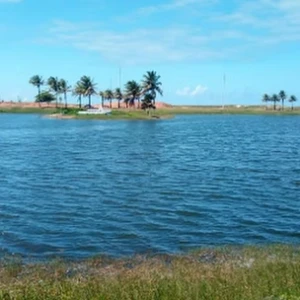 Rádio Robalo Mix