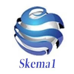 Skema 1