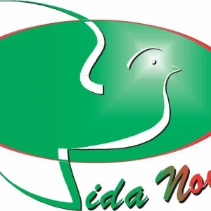 Rádio Web Vida Nova
