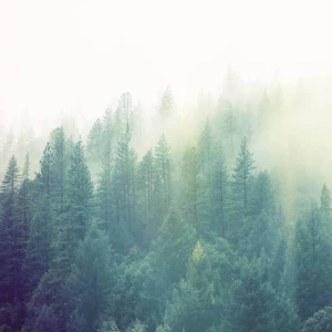 Vagalume.FM - Light