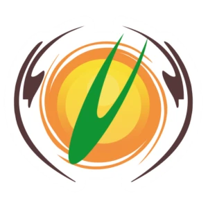 Vale FM