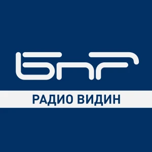 БНР Радио Видин