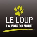 Le Loup Timmins