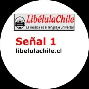 Libélula Chile