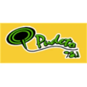 Radio Pudeto