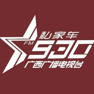 广西私家车930