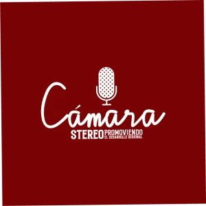 Cámara Stereo