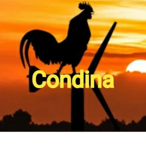 Logo de Condina Tropical Pereira