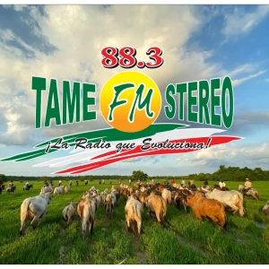 Tame FM Stereo