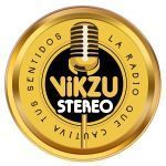 Vikzu Stereo