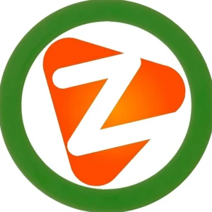 Zaragoza Stereo