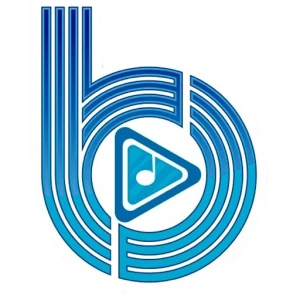 BLU RADIO DIGITAL