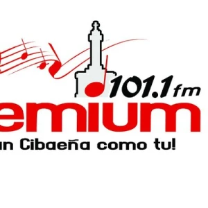 Premium 101.1 FM