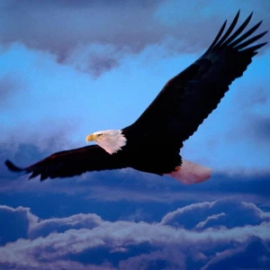 Eagle Country Radio