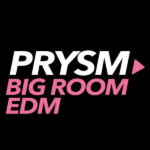 Prysm EDM - Big Room