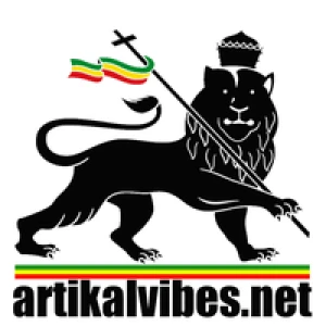 Artikal Vibes