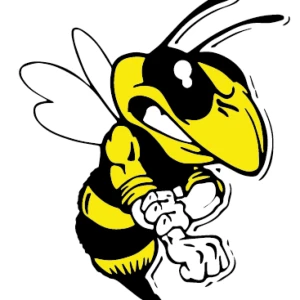 Mad Wasp Radio