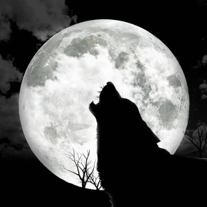 Midnight Madness Metal e-Radio