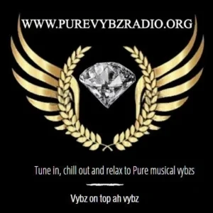 Pure Vybz Radio
