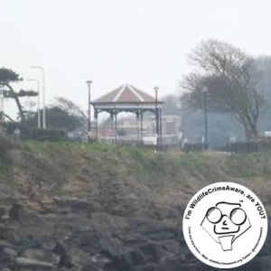 Radio Clevedon