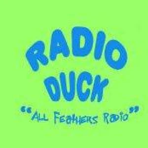 Radio Duck