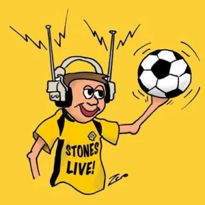 Stones Live!
