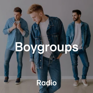 RTL+ Boygroups
