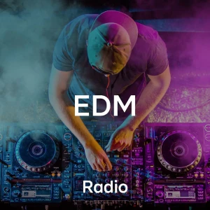 104.6 RTL - EDM