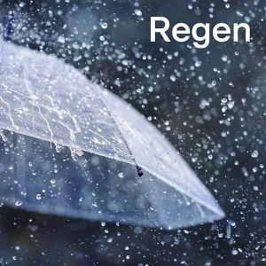 104.6 RTL - Regen