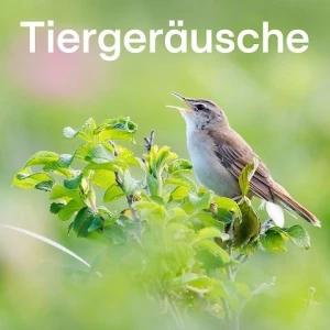 RTL+ Tiergeräusche