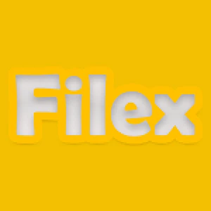 Filex FM