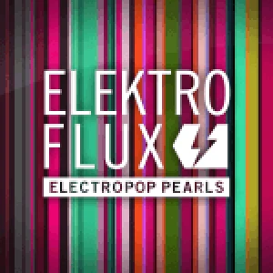 FluxFM - ElektroFlux