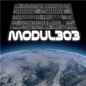 Modul303