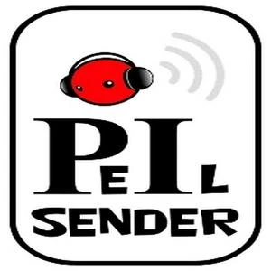 Patientenradio Peilsender
